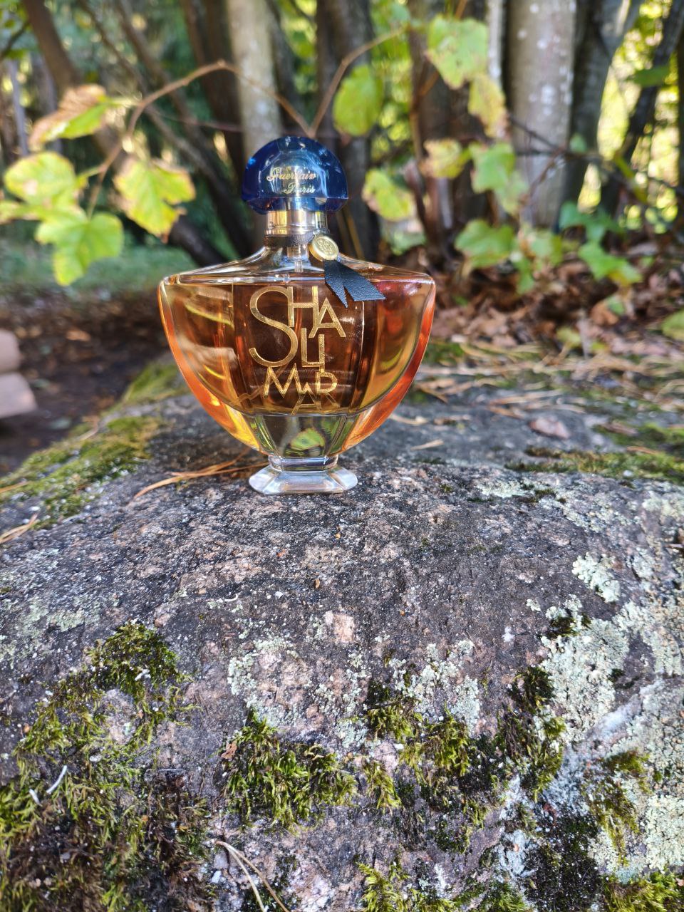 Отзыв клиента SelParf